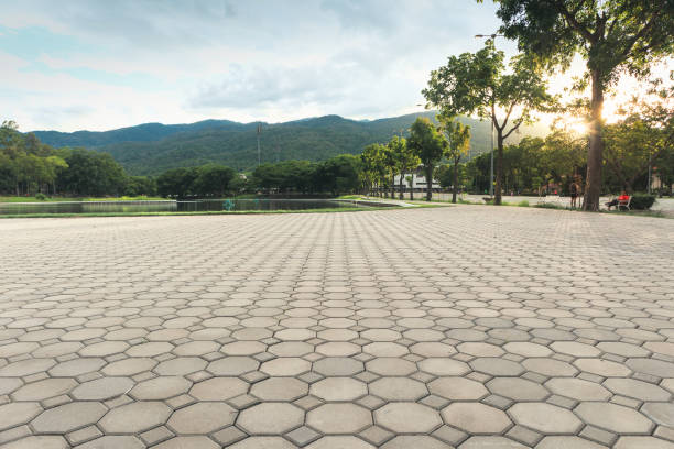 Best Driveway Pavers Near Me  in Mexia, TX